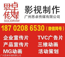 湛江市电视广告片制作拍摄 本土机构如何成就高质量广告制作